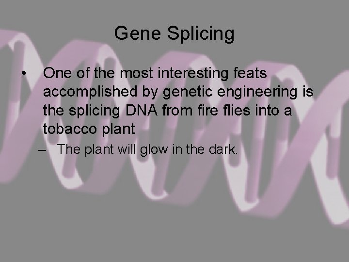 Gene Splicing • One of the most interesting feats accomplished by genetic engineering is