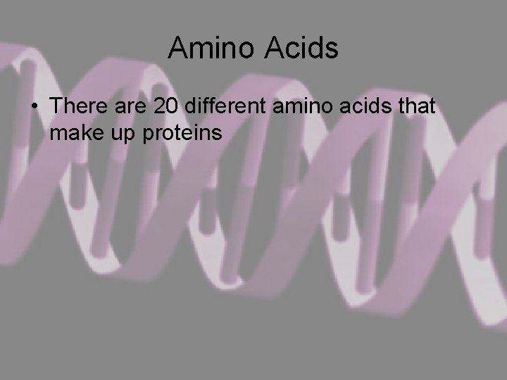 Amino Acids • There are 20 different amino acids that make up proteins 