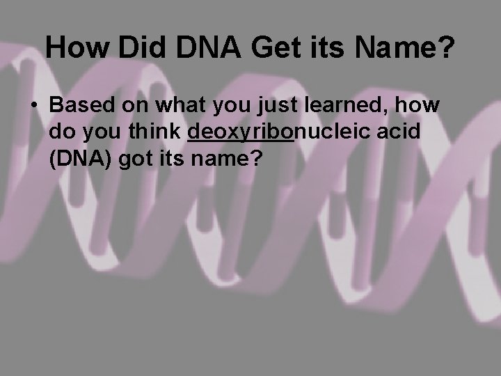 How Did DNA Get its Name? • Based on what you just learned, how
