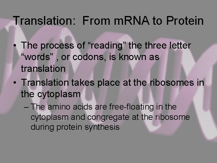 Translation: From m. RNA to Protein • The process of “reading” the three letter