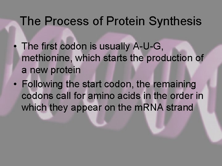 The Process of Protein Synthesis • The first codon is usually A-U-G, methionine, which