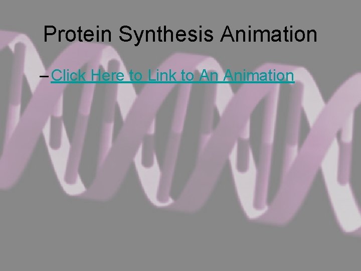Protein Synthesis Animation – Click Here to Link to An Animation 