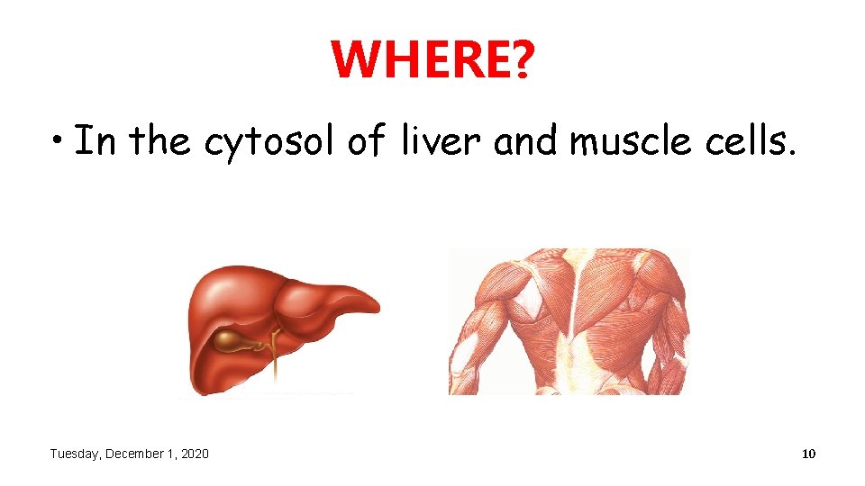 WHERE? • In the cytosol of liver and muscle cells. Tuesday, December 1, 2020