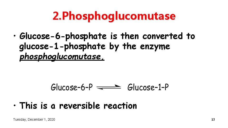 2. Phosphoglucomutase • Glucose-6 -phosphate is then converted to glucose-1 -phosphate by the enzyme