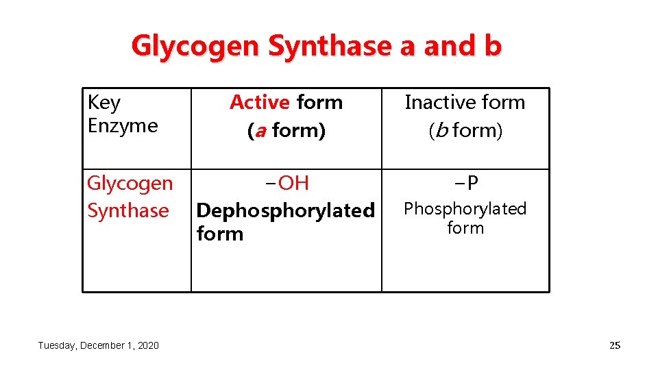 Glycogen Synthase a and b Key Enzyme Active form (a form) Glycogen −OH Synthase