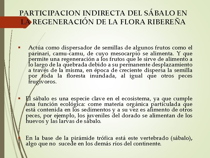 PARTICIPACION INDIRECTA DEL SÁBALO EN LA REGENERACIÓN DE LA FLORA RIBEREÑA Actúa como dispersador
