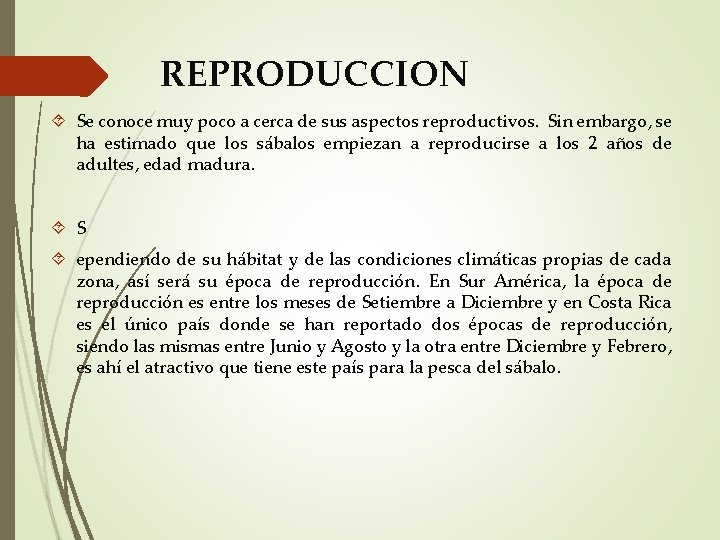 REPRODUCCION Se conoce muy poco a cerca de sus aspectos reproductivos. Sin embargo, se