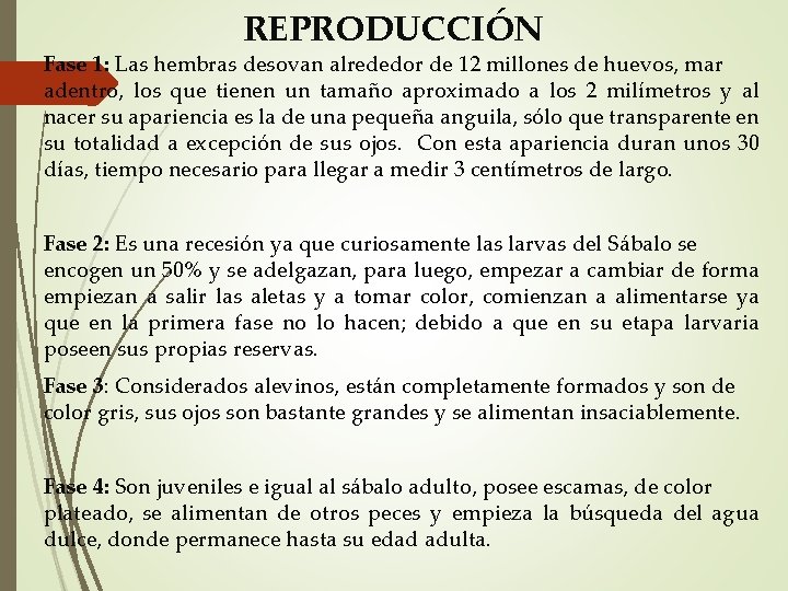 REPRODUCCIÓN Fase 1: Las hembras desovan alrededor de 12 millones de huevos, mar adentro,