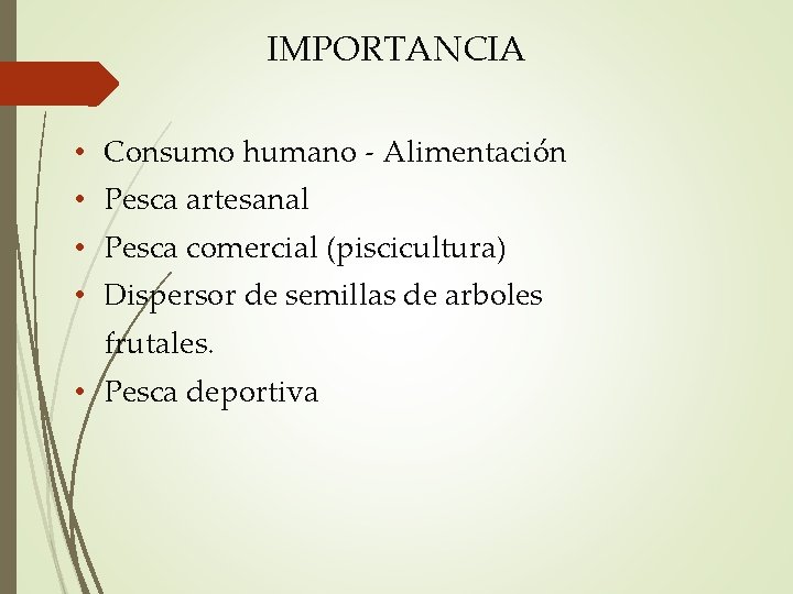 IMPORTANCIA • Consumo humano - Alimentación • Pesca artesanal • Pesca comercial (piscicultura) •