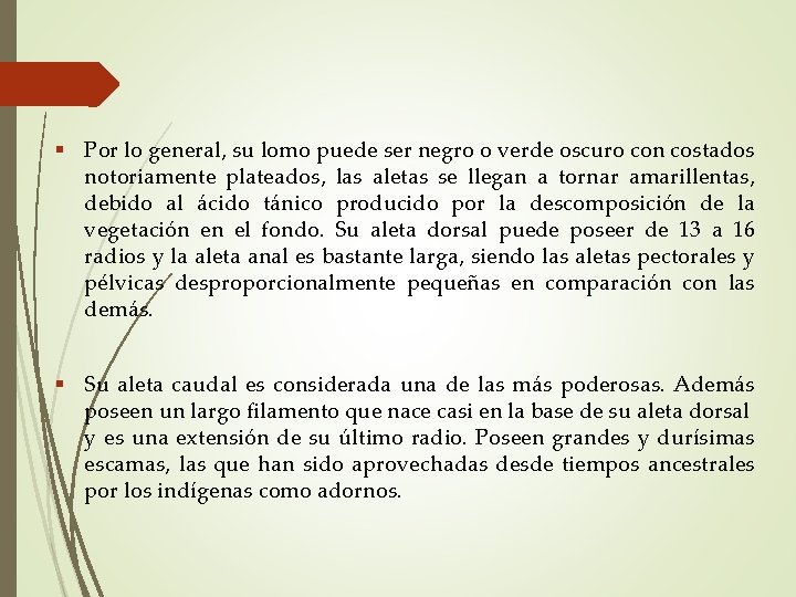  Por lo general, su lomo puede ser negro o verde oscuro con costados