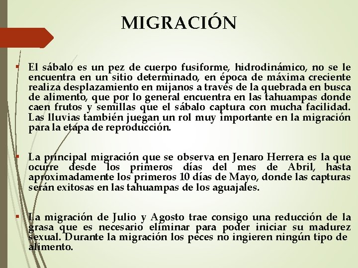 MIGRACIÓN El sábalo es un pez de cuerpo fusiforme, hidrodinámico, no se le encuentra
