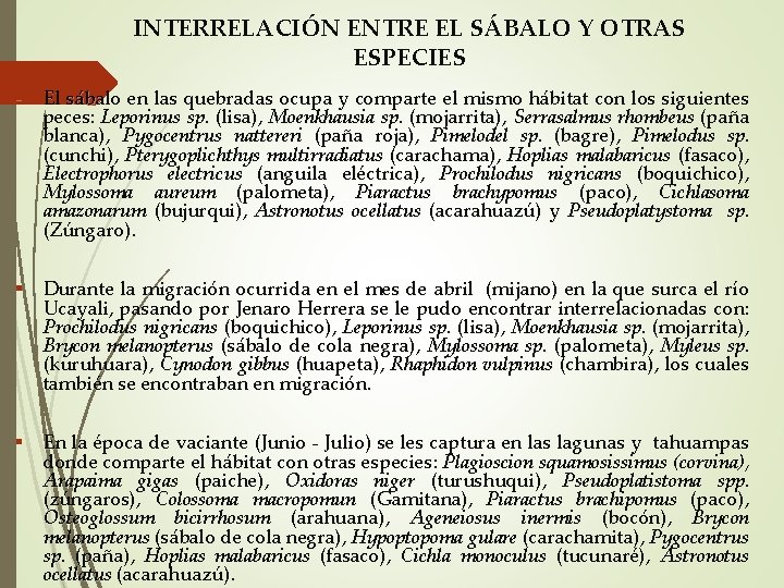 INTERRELACIÓN ENTRE EL SÁBALO Y OTRAS ESPECIES El sábalo en las quebradas ocupa y