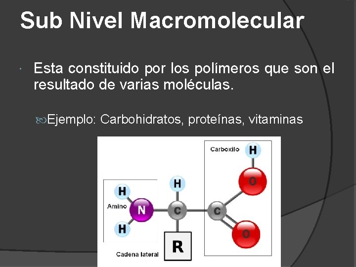 Sub Nivel Macromolecular Esta constituido por los polímeros que son el resultado de varias
