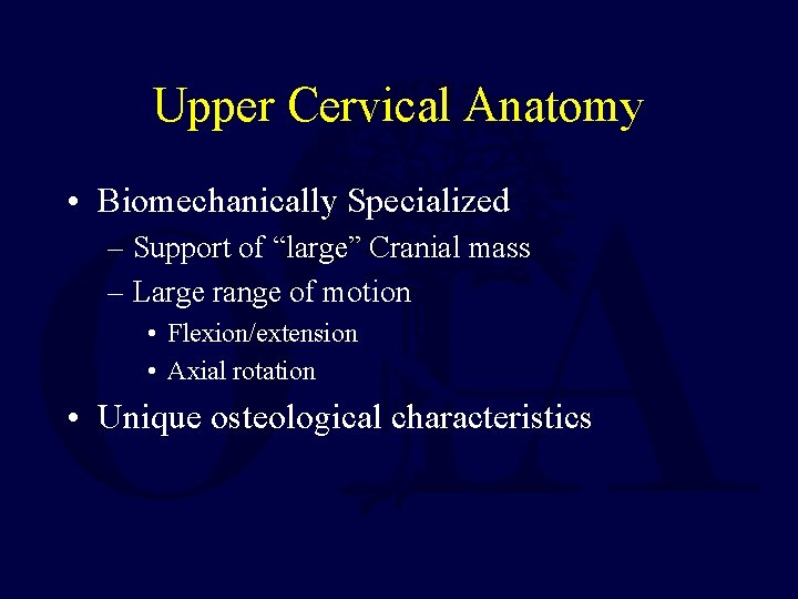 Upper Cervical Anatomy • Biomechanically Specialized – Support of “large” Cranial mass – Large