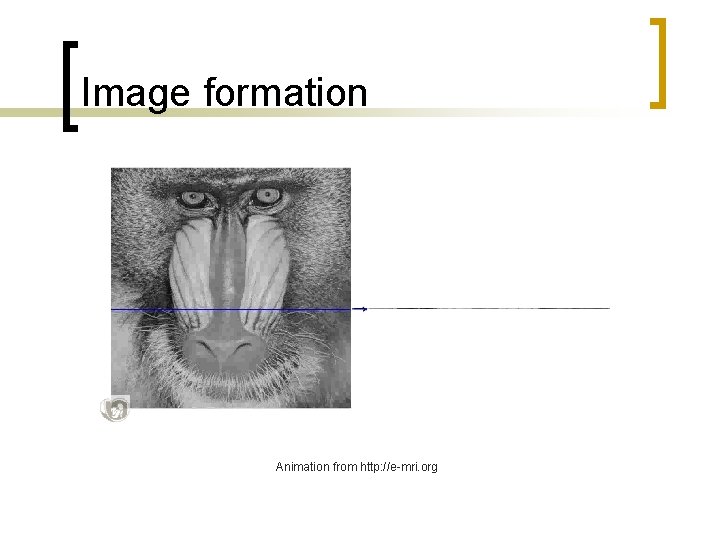 Image formation Animation from http: //e-mri. org 