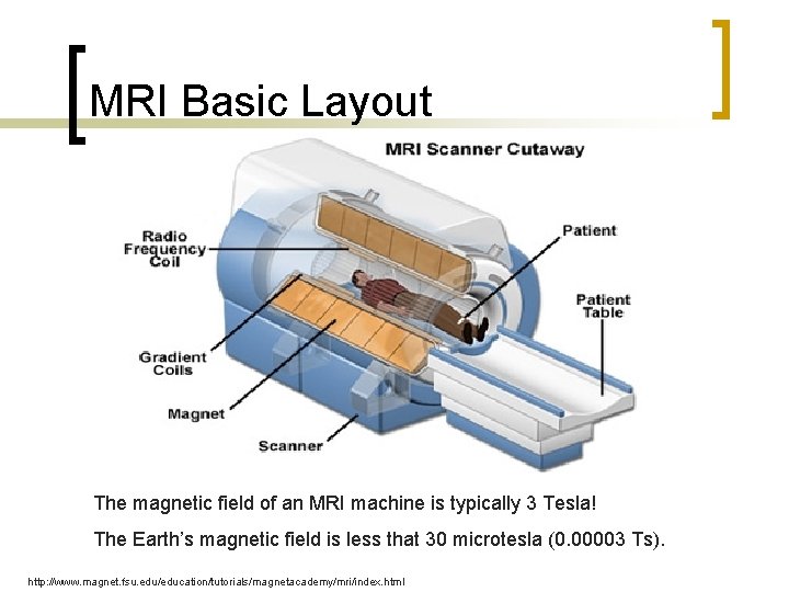 MRI Basic Layout The magnetic field of an MRI machine is typically 3 Tesla!