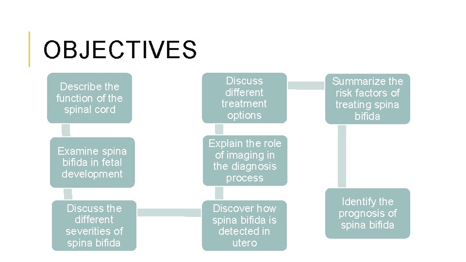 OBJECTIVES Describe the function of the spinal cord Discuss different treatment options Examine spina
