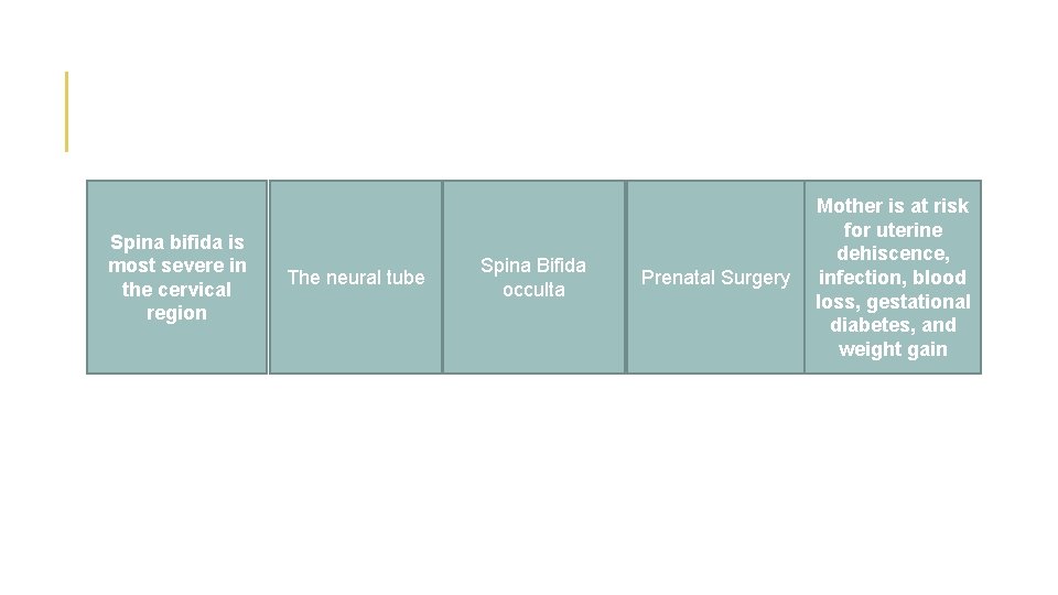 Where on the Spina is spine bifida is spina most severe bifida most in
