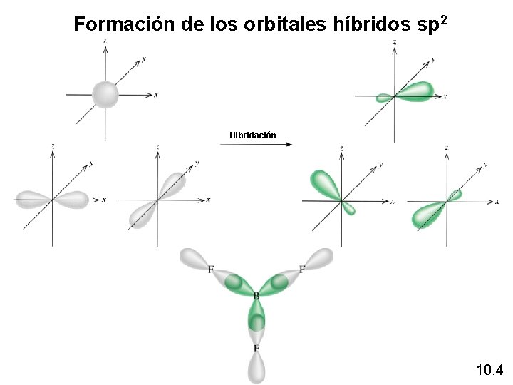 Formaciónde delos orbitales híbridos sp 2 Formación orbitales híbridos Hibridación 10. 4 