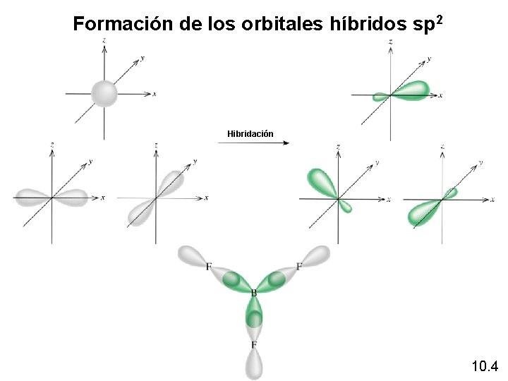 Formaciónde delos orbitales híbridos sp 2 Formación orbitales híbridos Hibridación 10. 4 Formaciónde delos orbitales híbridos sp 2 Formación orbitales híbridos Hibridación 10. 4