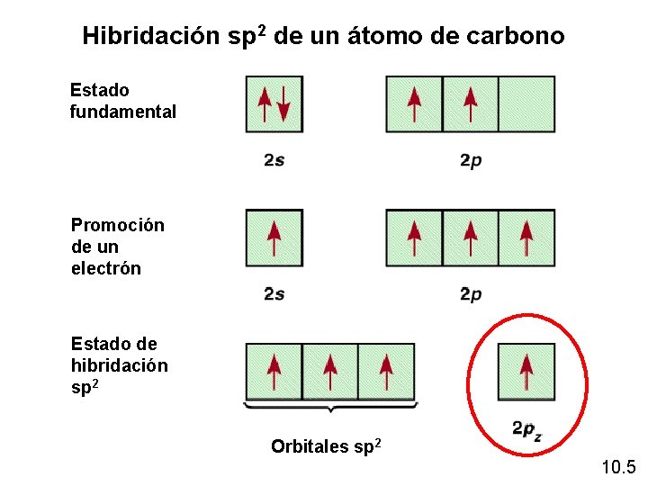 Hibridación sp 2 de un átomo de carbono Estado fundamental Promoción de un electrón Hibridación sp 2 de un átomo de carbono Estado fundamental Promoción de un electrón