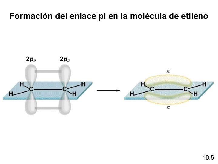 Formación del enlace pi en la molécula de etileno 10. 5 