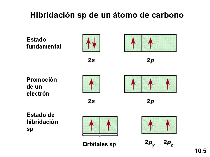 Hibridación sp de un átomo de carbono Estado fundamental Promoción de un electrón Estado Hibridación sp de un átomo de carbono Estado fundamental Promoción de un electrón Estado