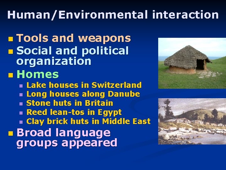 Human/Environmental interaction Tools and weapons n Social and political organization n Homes n n