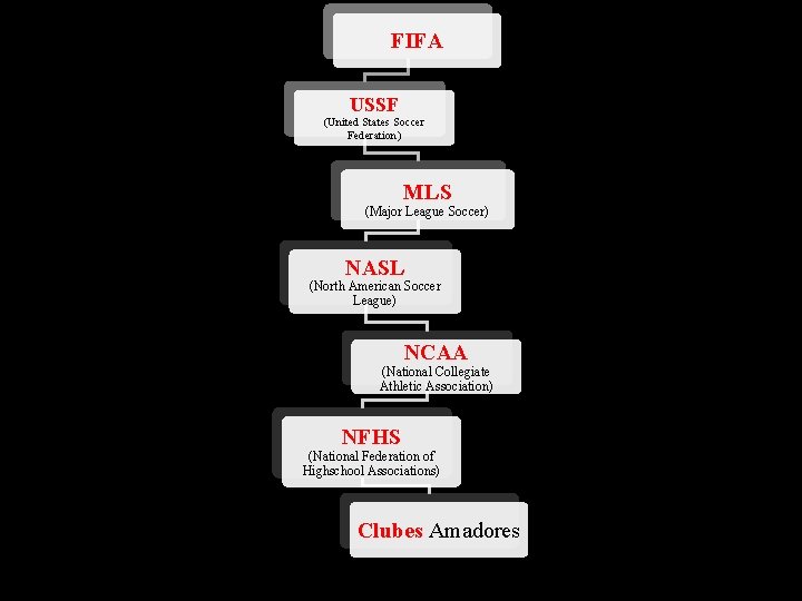 FIFA USSF (United States Soccer Federation) MLS (Major League Soccer) NASL (North American Soccer