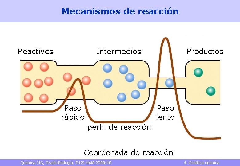 Mecanismos de reacción Reactivos Intermedios Paso rápido Productos Paso lento perfil de reacción Coordenada