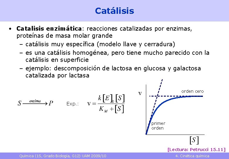 Catálisis • Catalisis enzimática: reacciones catalizadas por enzimas, proteínas de masa molar grande –