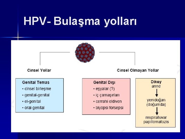 HPV- Bulaşma yolları 