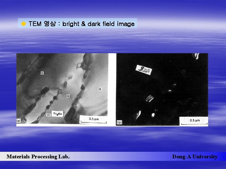u TEM 영상 : bright & dark field image Materials Processing Lab. Dong-A University