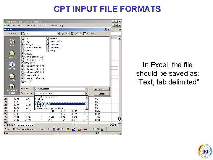 CPT INPUT FILE FORMATS In Excel, the file should be saved as: “Text, tab