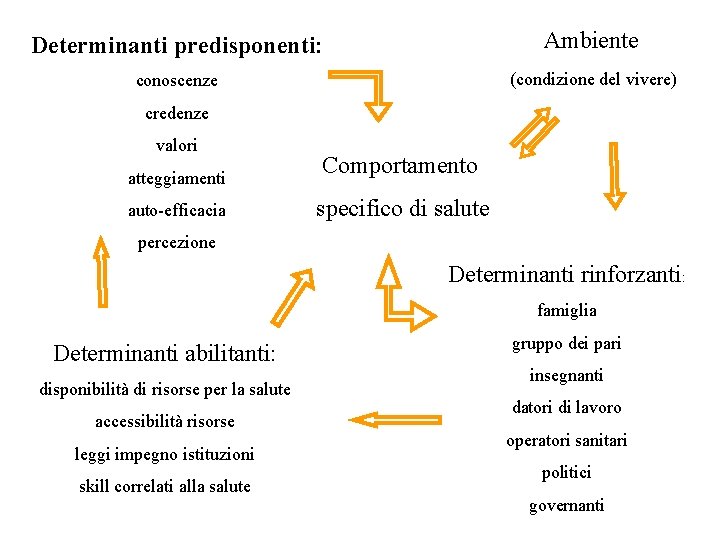 Determinanti predisponenti: Ambiente conoscenze (condizione del vivere) credenze valori atteggiamenti auto-efficacia Comportamento specifico di