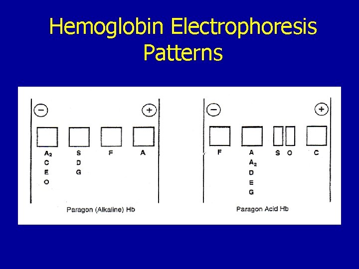 Hemoglobin Electrophoresis Patterns 