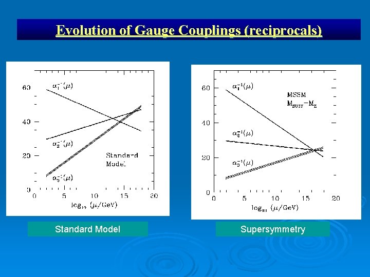 Evolution of Gauge Couplings (reciprocals) Standard Model Supersymmetry 