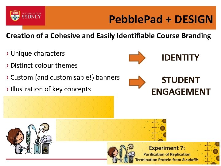 Pebble. Pad + DESIGN Creation of a Cohesive and Easily Identifiable Course Branding ›