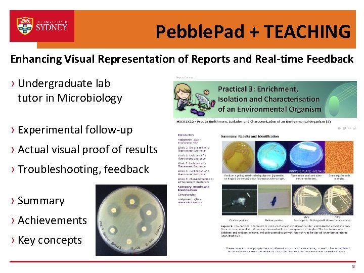 Pebble. Pad + TEACHING Enhancing Visual Representation of Reports and Real-time Feedback › Undergraduate