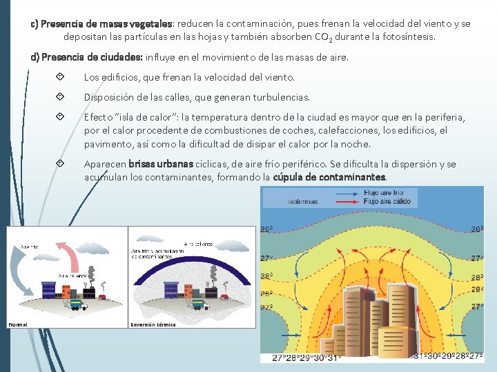 c) Presencia de masas vegetales: reducen la contaminación, pues frenan la velocidad del viento
