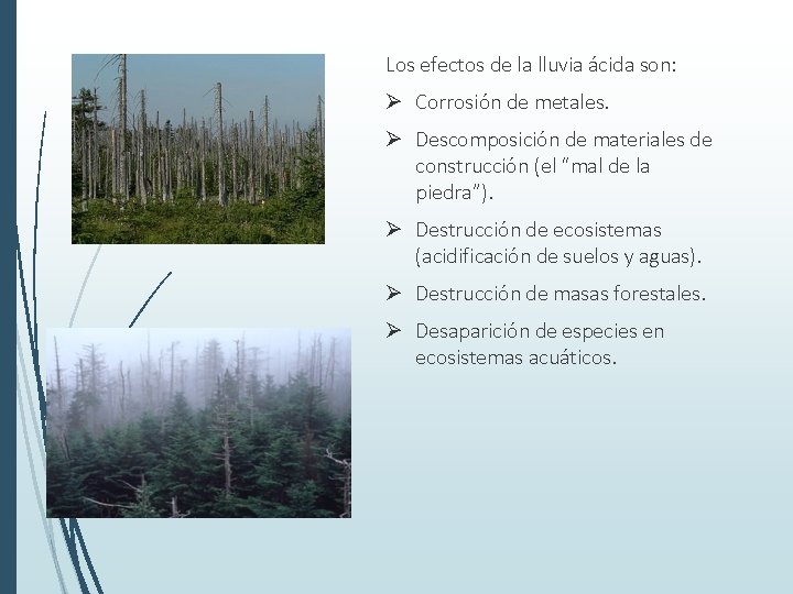 Los efectos de la lluvia ácida son: Ø Corrosión de metales. Ø Descomposición de