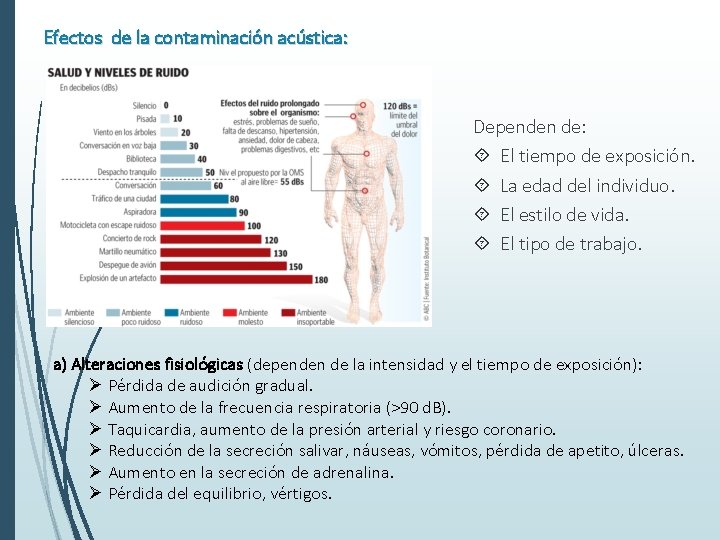 Efectos de la contaminación acústica: Dependen de: El tiempo de exposición. La edad del