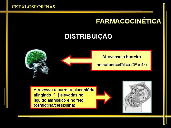 CEFALOSPORINAS FARMACOCINÉTICA DISTRIBUIÇÃO Atravessa a barreira hematoencefálica (3ª e 4ª) Atravessa a barreira placentária