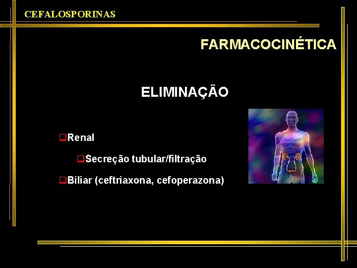 CEFALOSPORINAS FARMACOCINÉTICA ELIMINAÇÃO q. Renal q. Secreção tubular/filtração q. Biliar (ceftriaxona, cefoperazona) 