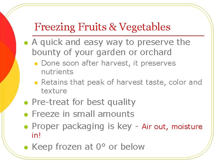 Freezing Fruits & Vegetables l A quick and easy way to preserve the bounty