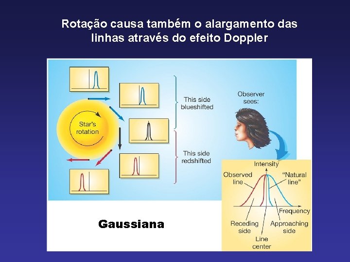 Rotação causa também o alargamento das linhas através do efeito Doppler Gaussiana 