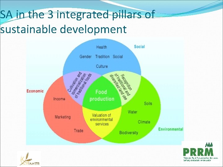 SA in the 3 integrated pillars of sustainable development 3 