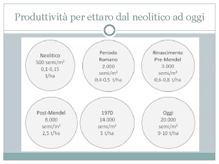 Produttività per ettaro dal neolitico ad oggi 