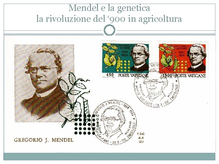 Mendel e la genetica la rivoluzione del ‘ 900 in agricoltura 