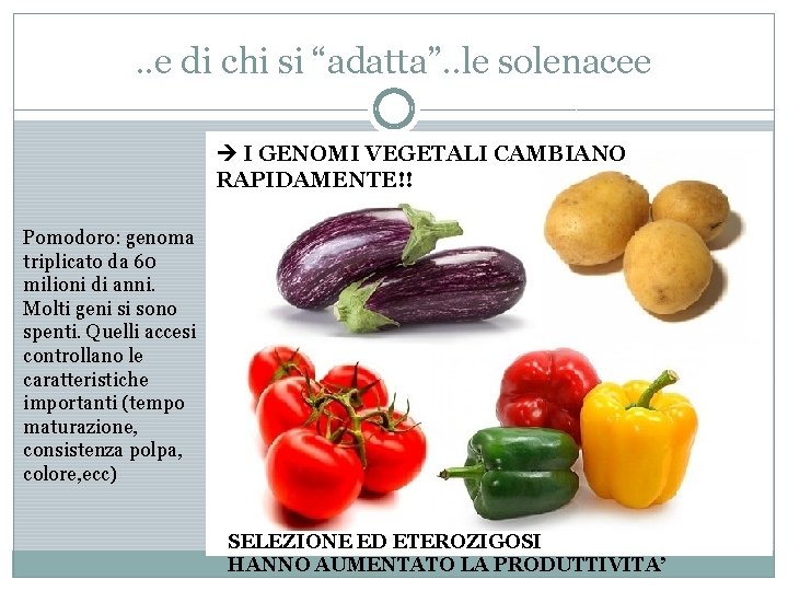 . . e di chi si “adatta”. . le solenacee I GENOMI VEGETALI CAMBIANO